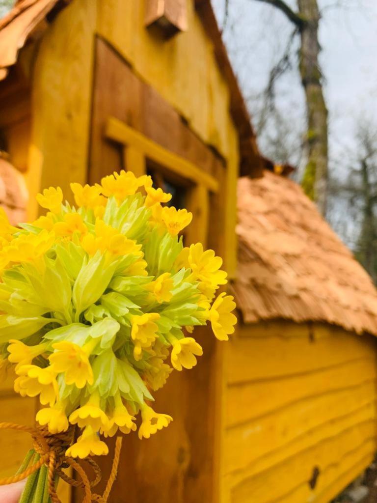 Camping Ushuaia Villages Au Bois Joli Andryes Zewnętrze zdjęcie